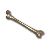 Golden Thigh Bone