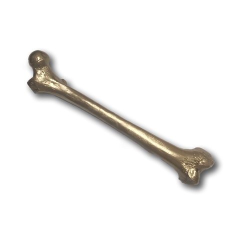 Golden Thigh Bone