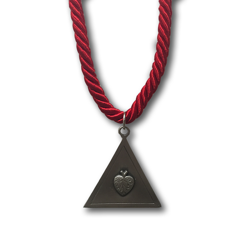 Tau Kappa Epsilon #6 | Collegiate Regalia